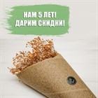 Нам 5 лет! Нам 5 лет!