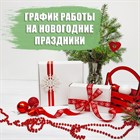 График работы на Новогодние праздники!