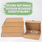 Почему картонные коробки называют экологичными? Почему картонные коробки называют экологичными?
