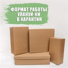 Формат работы в карантин Формат работы в карантин