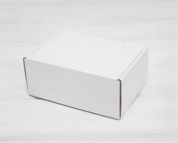 Коробка для посылок, 21х15х9 см, белая - фото 12234