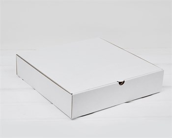 Коробка из плотного картона 31х31х7 см, белая - фото 13600