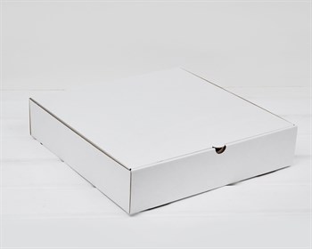 Коробка из плотного картона 31х31х7 см, белая У0104249 - фото 13600