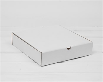 Коробка из плотного картона 23х23х5 см, белая - фото 13608