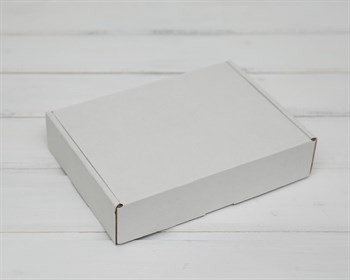 Коробка 20х15х4,5 см из плотного картона, белая У0104075 - фото 6188