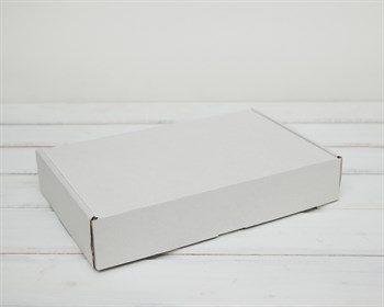 Коробка для посылок, 27х17х5 см, белая - фото 6308