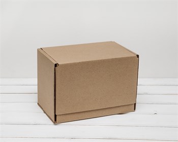 Коробка почтовая, тип Г, 26,5х16,5х19 см, крафт - фото 6645