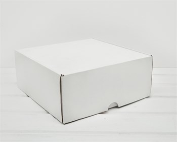 УЦЕНКА Коробка для посылок, 24х24х10 см, из плотного картона, белая У0104141-УЦ - фото 7822