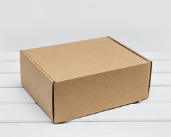 Коробка для посылок, 25х20х10 см, из плотного картона, крафт У0104132