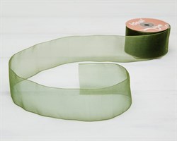 Лента капроновая, 50 мм, зеленая, 1 м У0516011