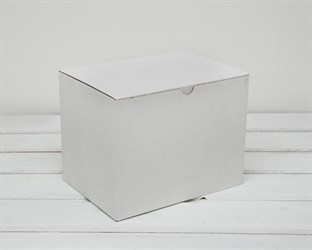 Коробка для посылок, 21х16х15 см, из плотного картона, белая