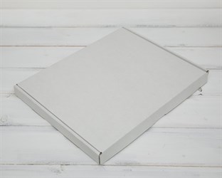 Коробка плоская, 30,5х23,5х2,5 см, белая