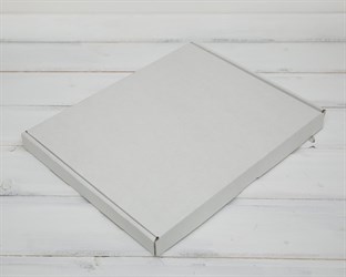 Коробка плоская, 30,5х23,5х2,5 см, белая У0104099