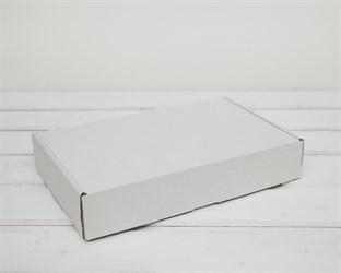 Коробка для посылок, 27х17х5 см, белая