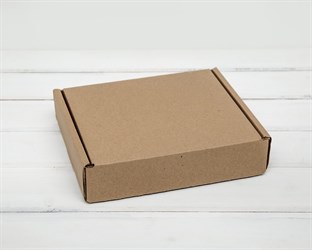 Коробка почтовая, тип Е, 22х18,5х5 см, крафт