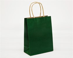 Пакет подарочный, 19х15х7,5 см, с кручеными ручками, зеленый