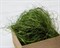 Сизаль декоративный, цвет болотно-зеленый, 100 грамм - фото 11636
