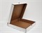Коробка из плотного картона 46х46х5 см, белая У0104289 - фото 15128