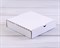 Коробка 19х19х4 см из плотного картона, белая - фото 7458